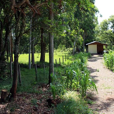 Cabana Na Serra Gaucha! Picada Café Eksteriør billede